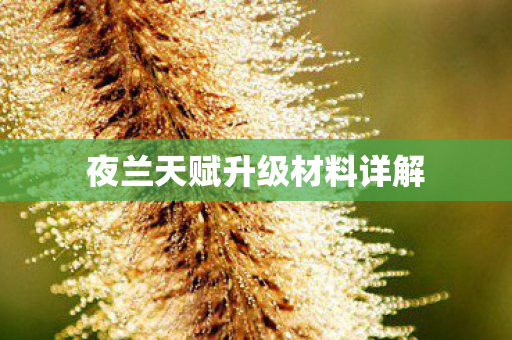 夜兰天赋升级材料详解图片