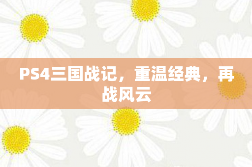 PS4三国战记图片