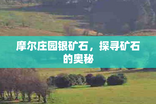 摩尔庄园银矿石图片