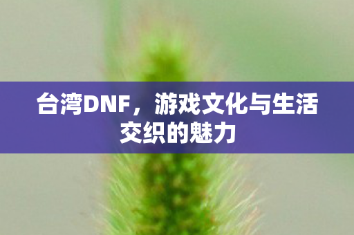 游戏文化与生活交织的魅力图片