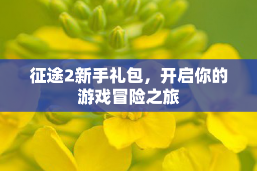 开启你的游戏冒险之旅图片