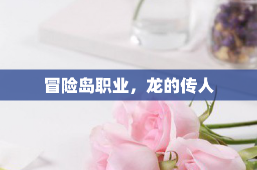 冒险岛职业图片