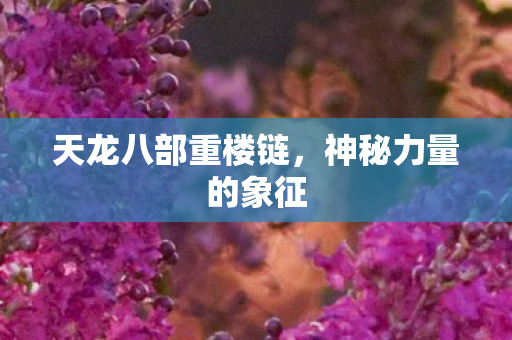 天龙八部重楼链图片