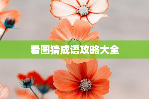看图猜成语攻略大全图片
