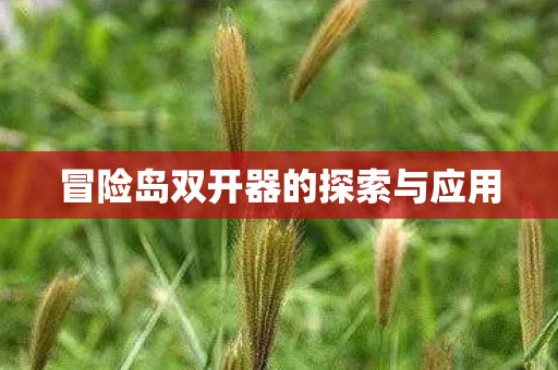 冒险岛双开器的探索与应用图片