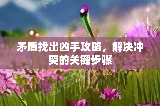 解决冲突的关键步骤图片