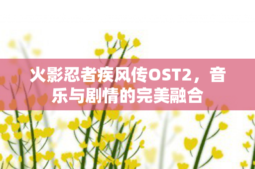 火影忍者疾风传OST2图片