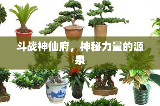 神秘力量的源泉图片