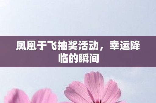 凤凰于飞抽奖活动图片