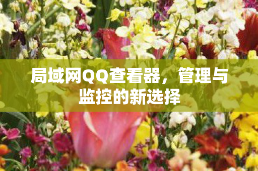 管理与监控的新选择图片