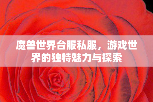 游戏世界的独特魅力与探索图片