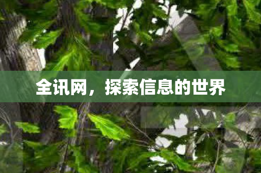 探索信息的世界图片