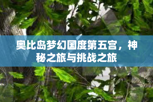 奥比岛梦幻国度第五宫图片
