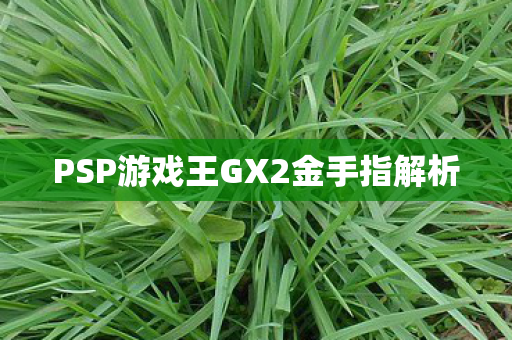 PSP游戏王GX2金手指解析图片