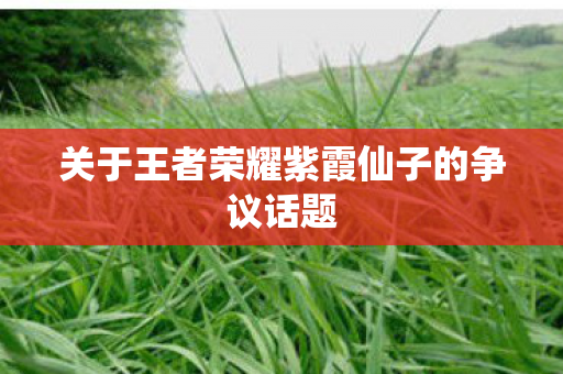 关于王者荣耀紫霞仙子的争议话题图片