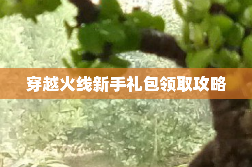 穿越火线新手礼包领取攻略图片