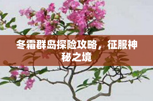 冬霜群岛探险攻略图片