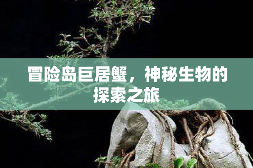 神秘生物的探索之旅图片