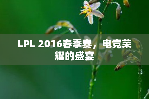 LPL 2016春季赛图片