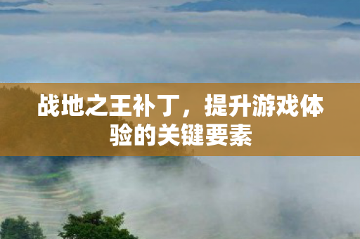 提升游戏体验的关键要素图片