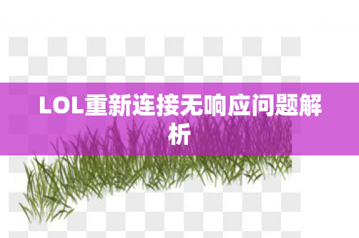 LOL重新连接无响应问题解析图片