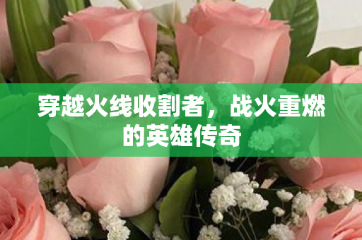 战火重燃的英雄传奇图片