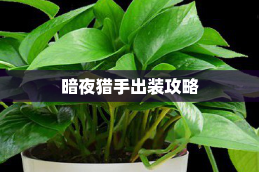 暗夜猎手出装攻略图片