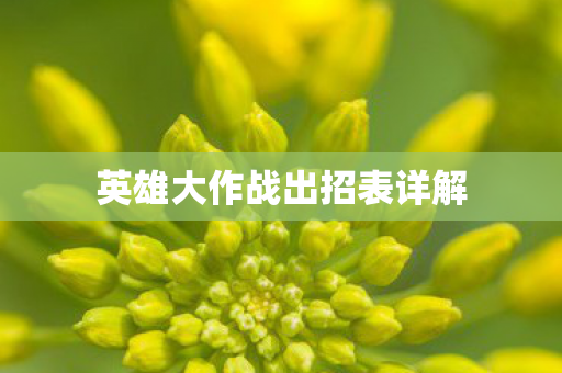 英雄大作战出招表详解图片