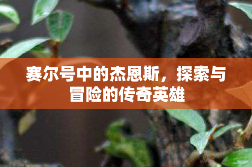 探索与冒险的传奇英雄图片