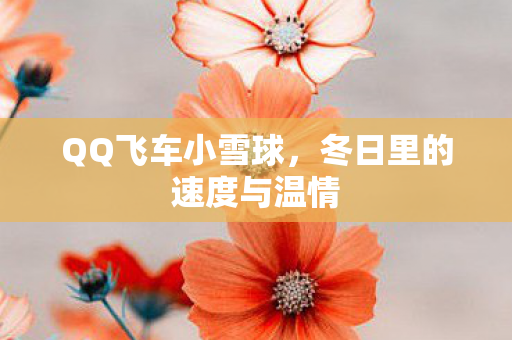 冬日里的速度与温情图片