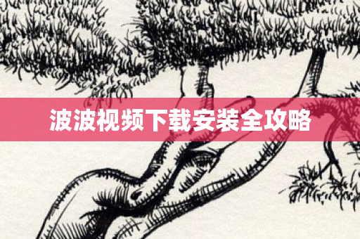 波波视频下载安装全攻略图片
