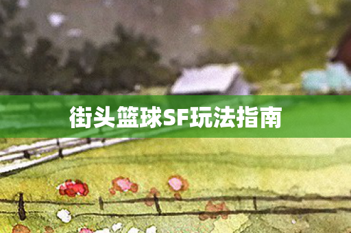 街头篮球SF玩法指南图片
