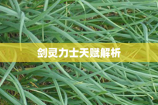 剑灵力士天赋解析图片