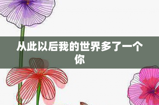 从此以后我的世界多了一个你图片