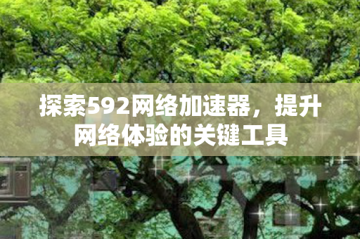 提升网络体验的关键工具图片