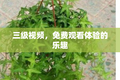 免费观看体验的乐趣图片