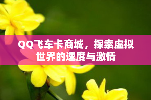 探索虚拟世界的速度与激情图片