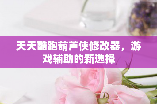 天天酷跑葫芦侠修改器图片