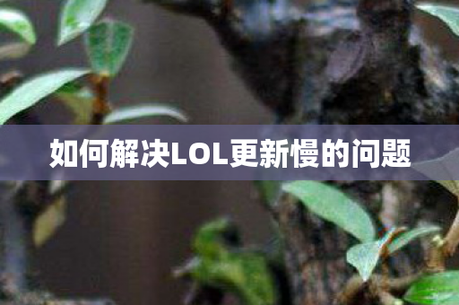 如何解决LOL更新慢的问题图片