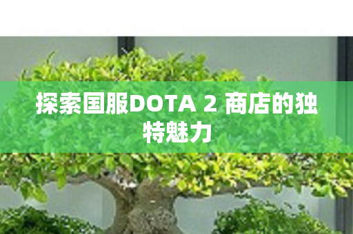 探索国服DOTA 2 商店的独特魅力图片