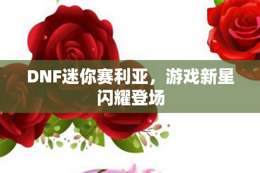 DNF迷你赛利亚图片