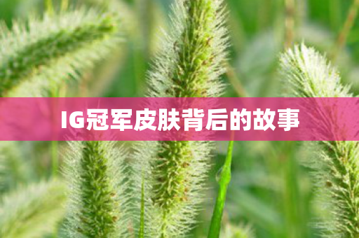 IG冠军皮肤背后的故事图片