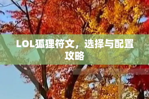 LOL狐狸符文图片