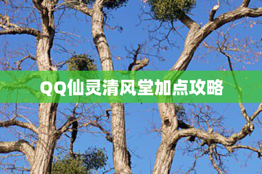 QQ仙灵清风堂加点攻略图片