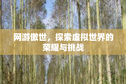 探索虚拟世界的荣耀与挑战图片