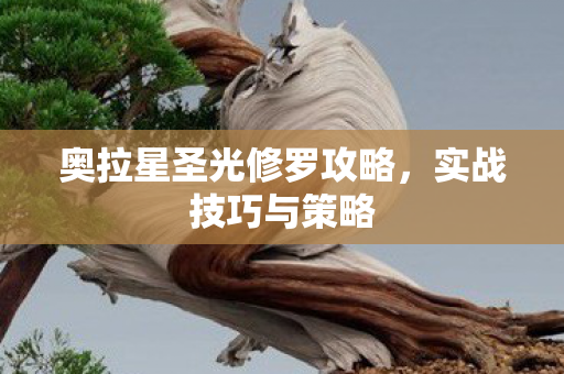 奥拉星圣光修罗攻略图片