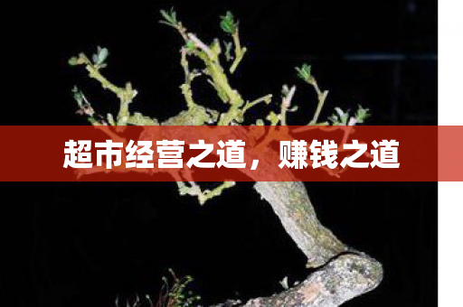 超市经营之道图片