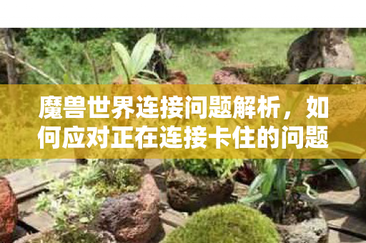 如何应对正在连接卡住的问题图片