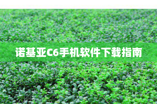 诺基亚C6手机软件下载指南图片