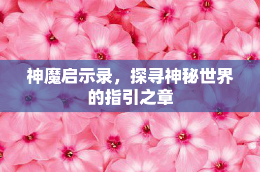探寻神秘世界的指引之章图片